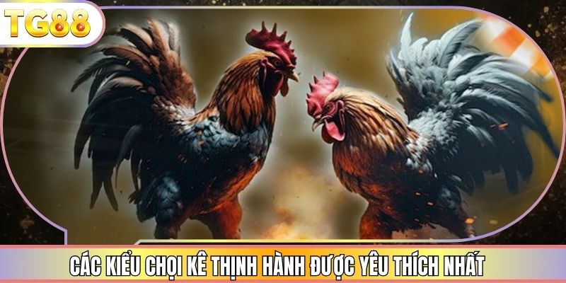 Các kiểu chọi kê thịnh hành được yêu thích nhất