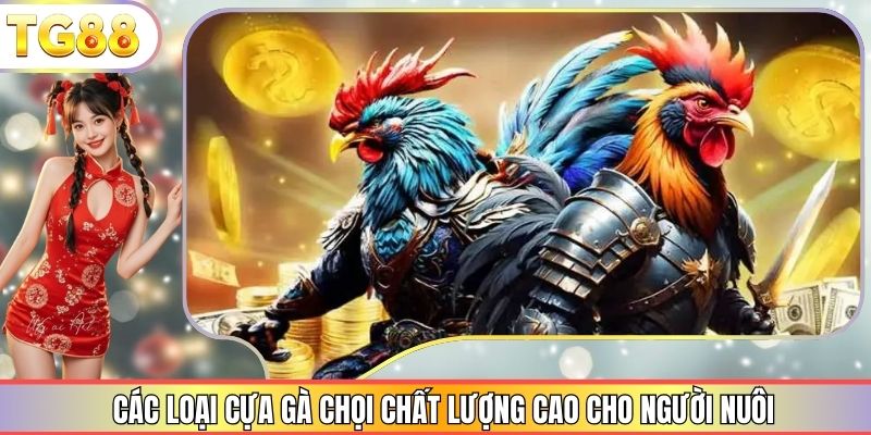 Các Loại Cựa Gà Chọi Chất Lượng Cao Cho Người Nuôi