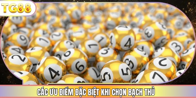 Các ưu điểm đặc biệt khi chọn bạch thủ