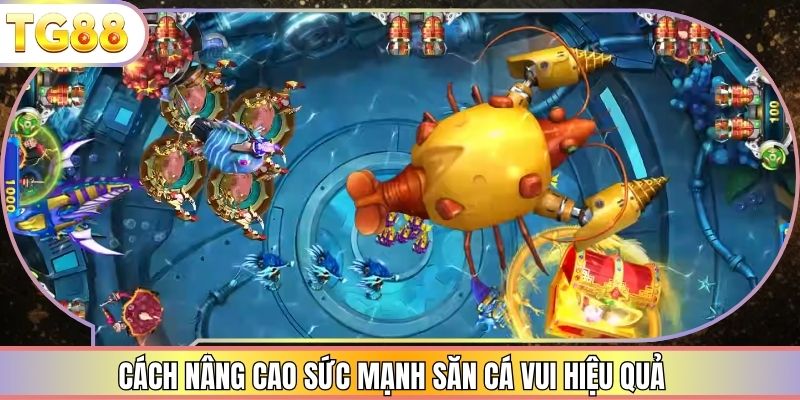 Cách nâng cao sức mạnh săn cá vui hiệu quả