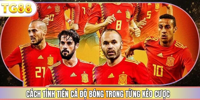 Cách tính tiền cá độ bóng trong từng kèo cược