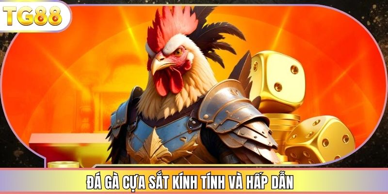 Đá gà cựa sắt kính tính và hấp dẫn