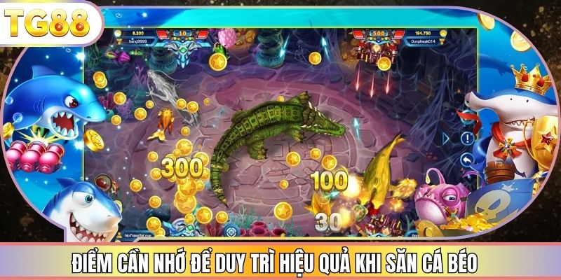 Điểm cần nhớ để duy trì hiệu quả khi săn cá béo