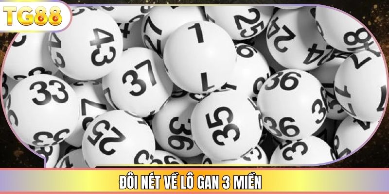 Đôi nét về lô gan 3 miền