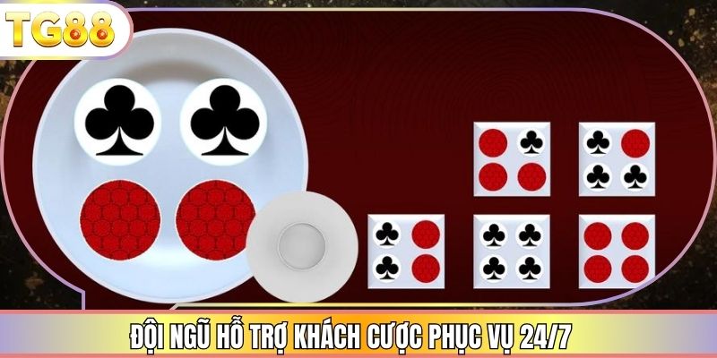 Đội ngũ hỗ trợ khách cược phục vụ 24/7
