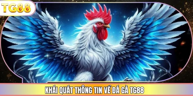 Khái quát thông tin về đá gà TG88
