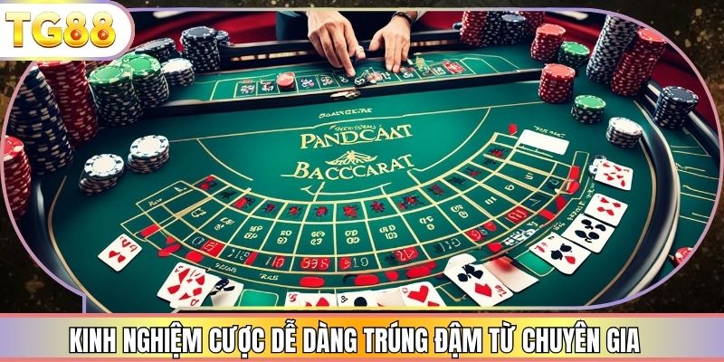 Kinh nghiệm cược dễ dàng trúng đậm từ chuyên gia