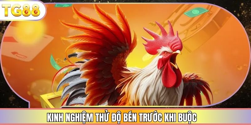 Kinh nghiệm thử độ bén trước khi buộc 