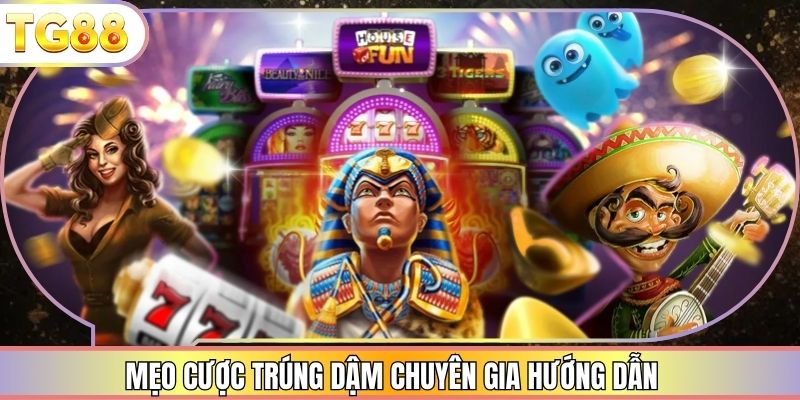 Mẹo cược trúng dậm chuyên gia hướng dẫn