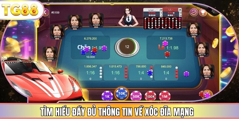 Tìm hiểu đầy đủ thông tin về xóc đĩa mạng