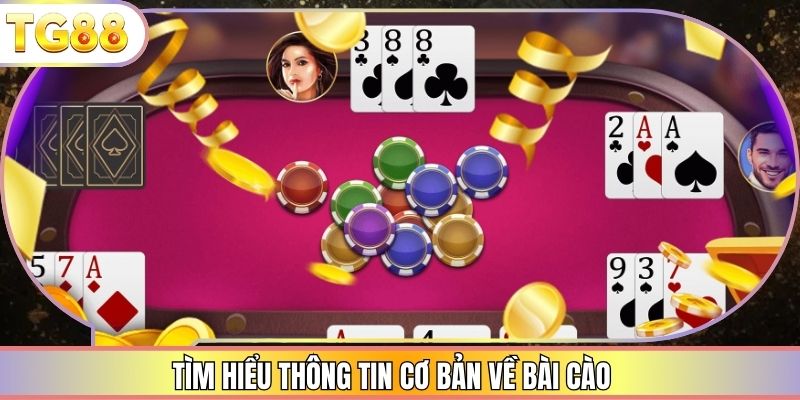 Tìm hiểu thông tin cơ bản về bài cào
