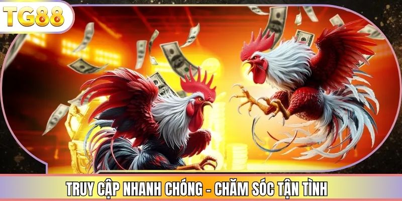 Truy cập nhanh chóng - chăm sóc tận tình