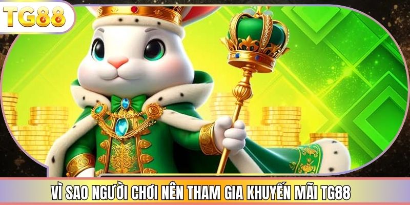 Vì sao người chơi nên tham gia khuyến mãi TG88